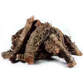 rhodiola rosea