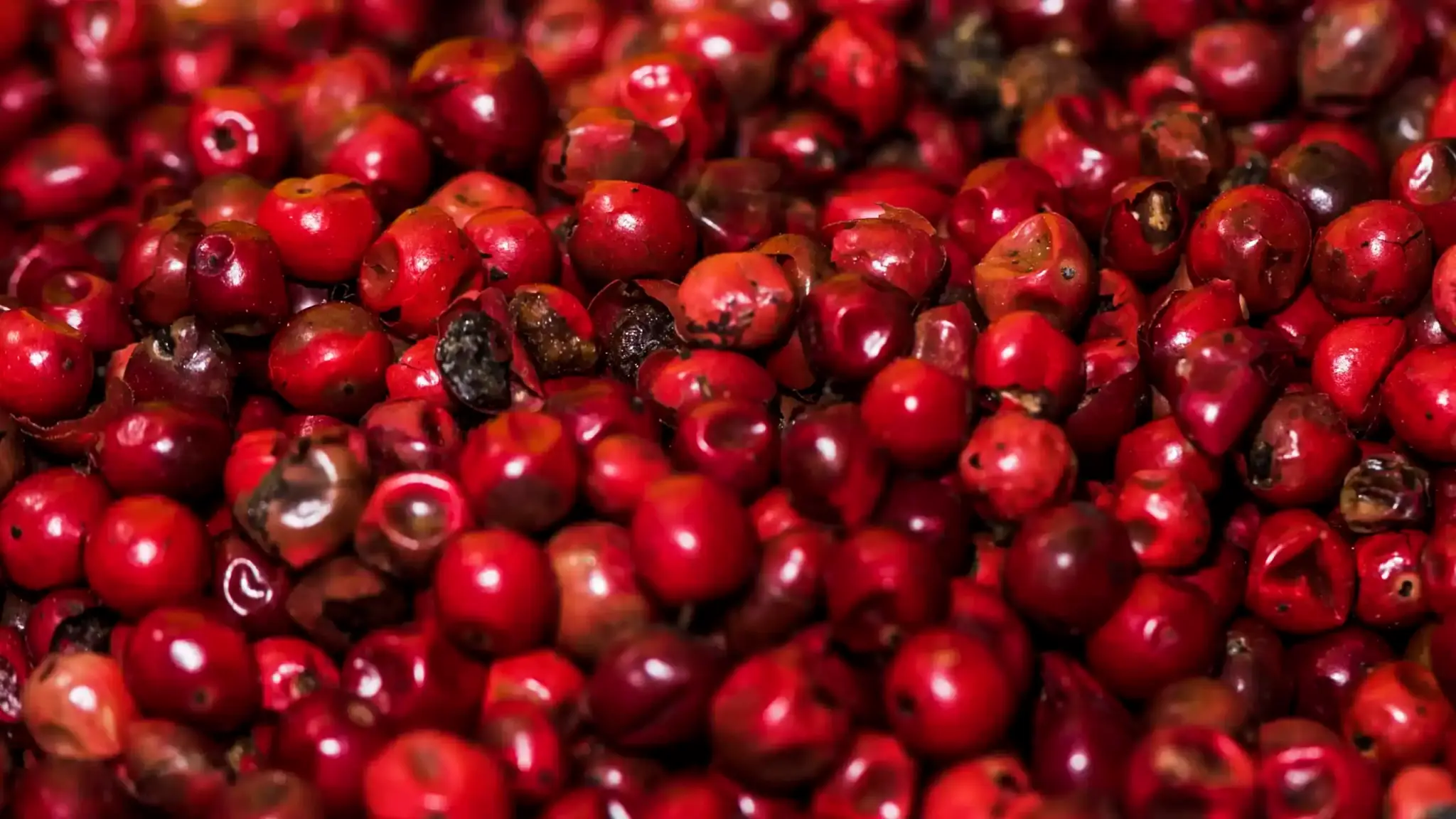 Najbolja guarana – ocjene i savjeti