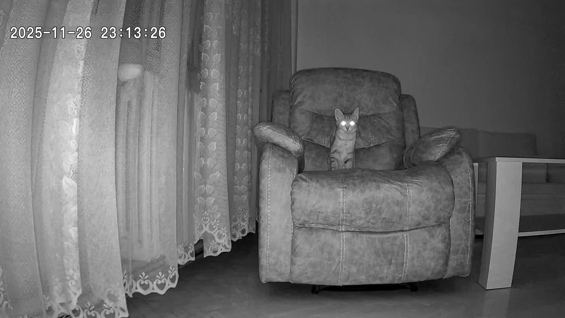 TrueLife NannyCam R6 Dual Smart recenzija