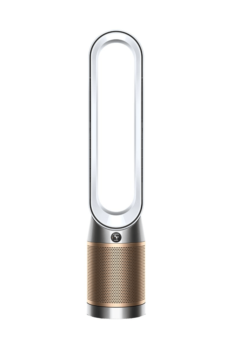 Dyson Purifier Cool PC2 De-Nox