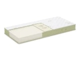 Aloe Vera Plus Memory
