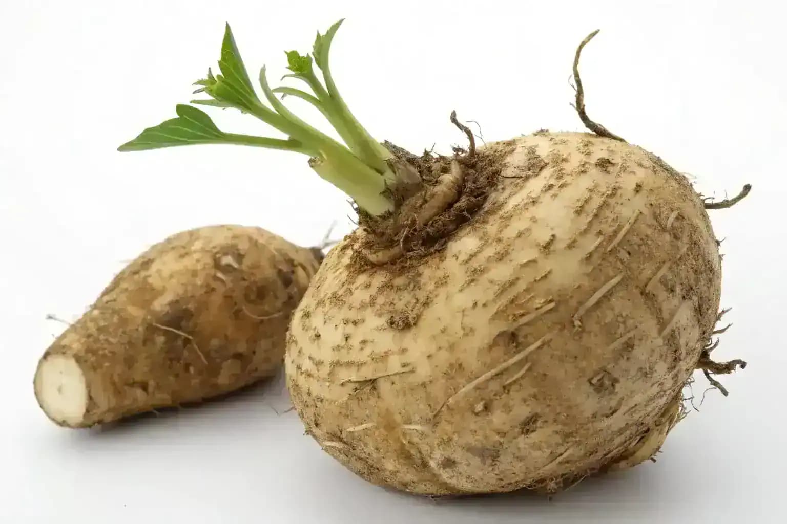 najbolji glukomanan