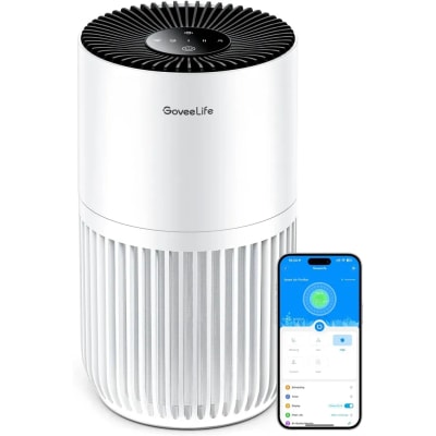 GoveeLife Mini Air Purifier