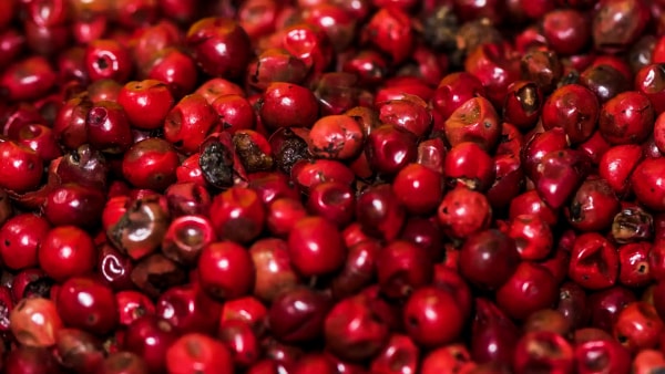 Guarana