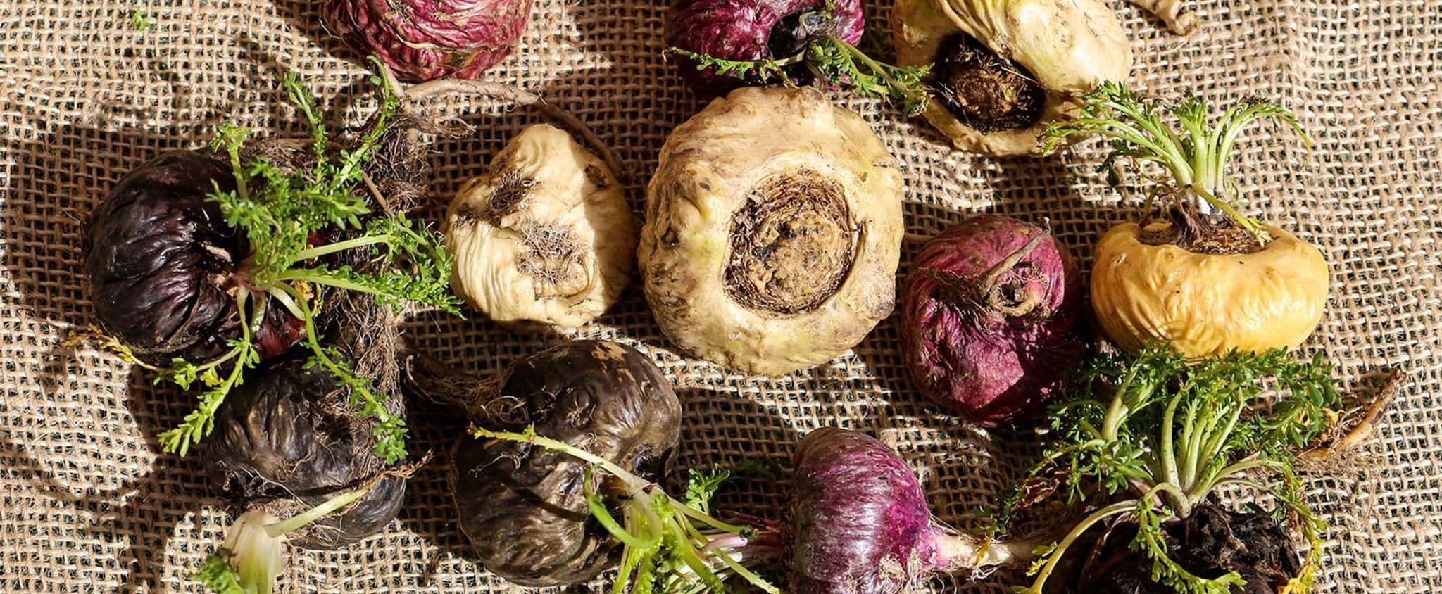 maca