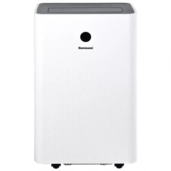 Ravanson PM-12000: Product review