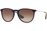 Ray-Ban Erika Classic