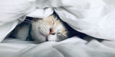 Najbolji dodaci prehrani za dobar san u 2025. godini